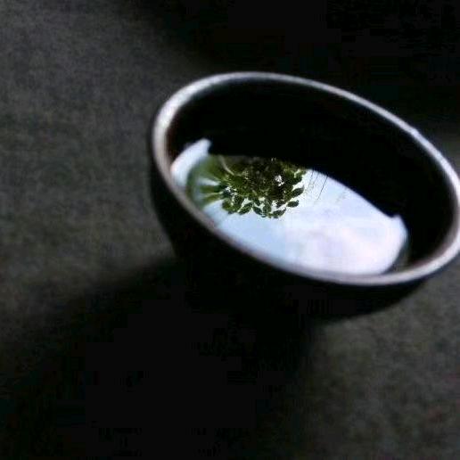 喝着酱油耍酒疯