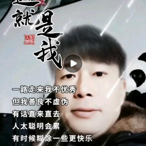 哥向南飞