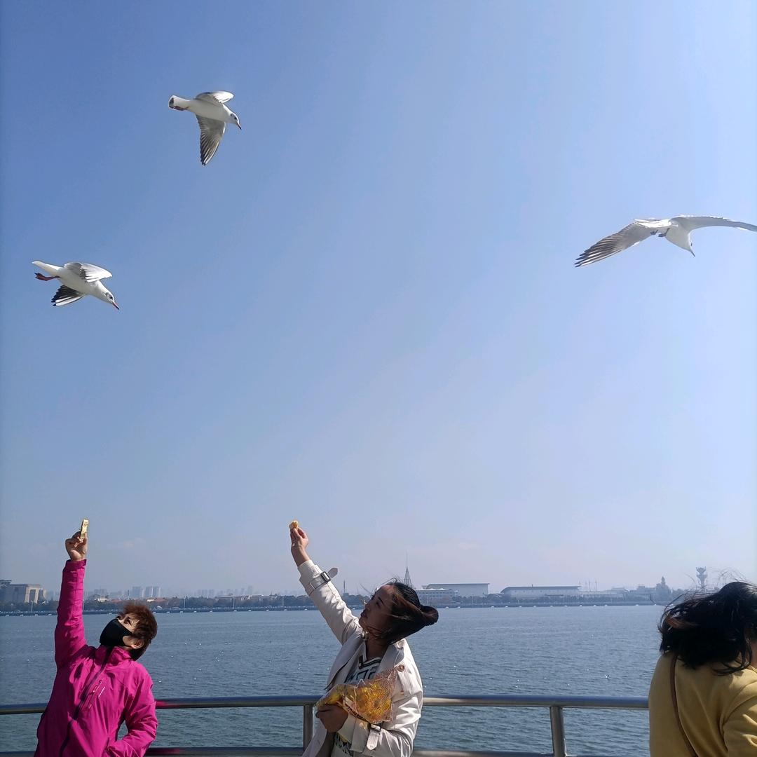 静