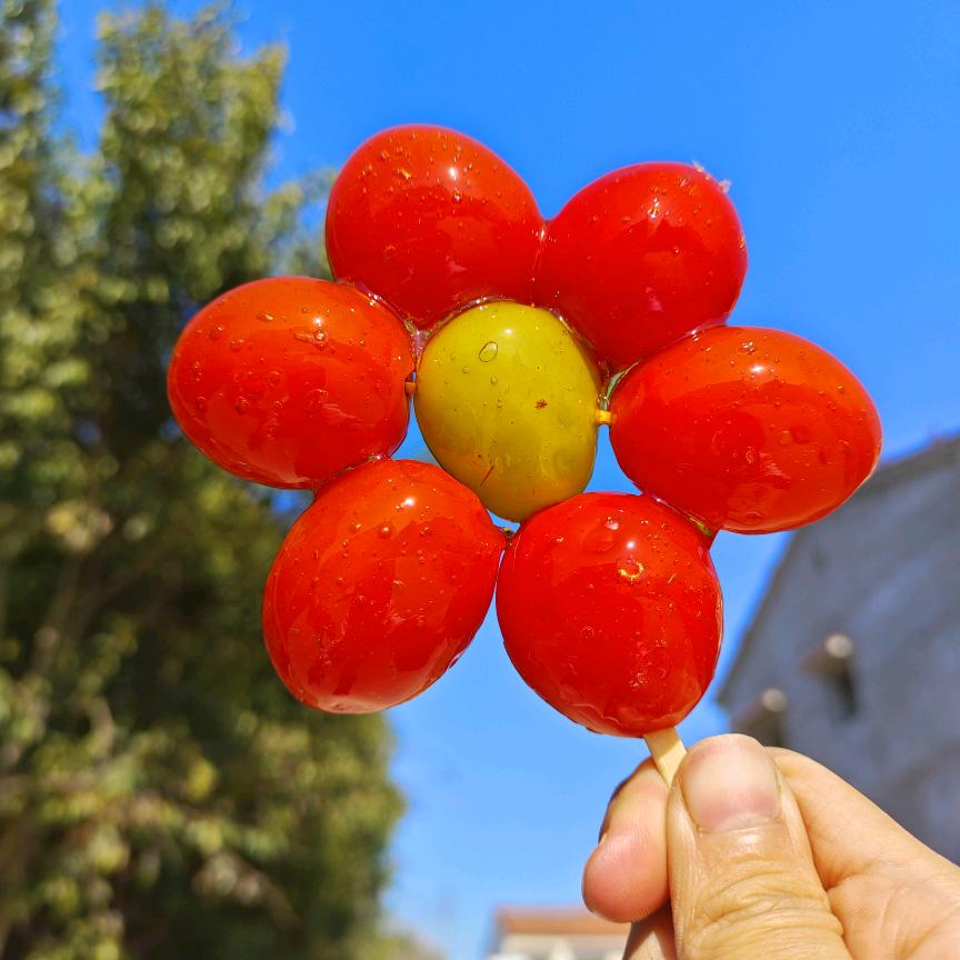 会兵通讯·☘文静