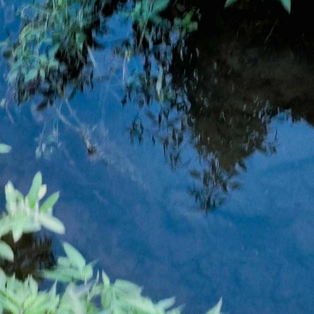 时间的印记