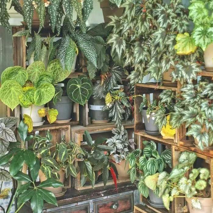 青禾花苑