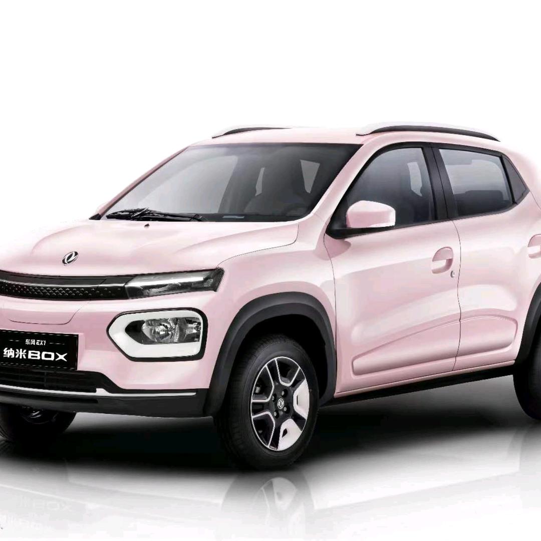 东风纳米汽车，方方