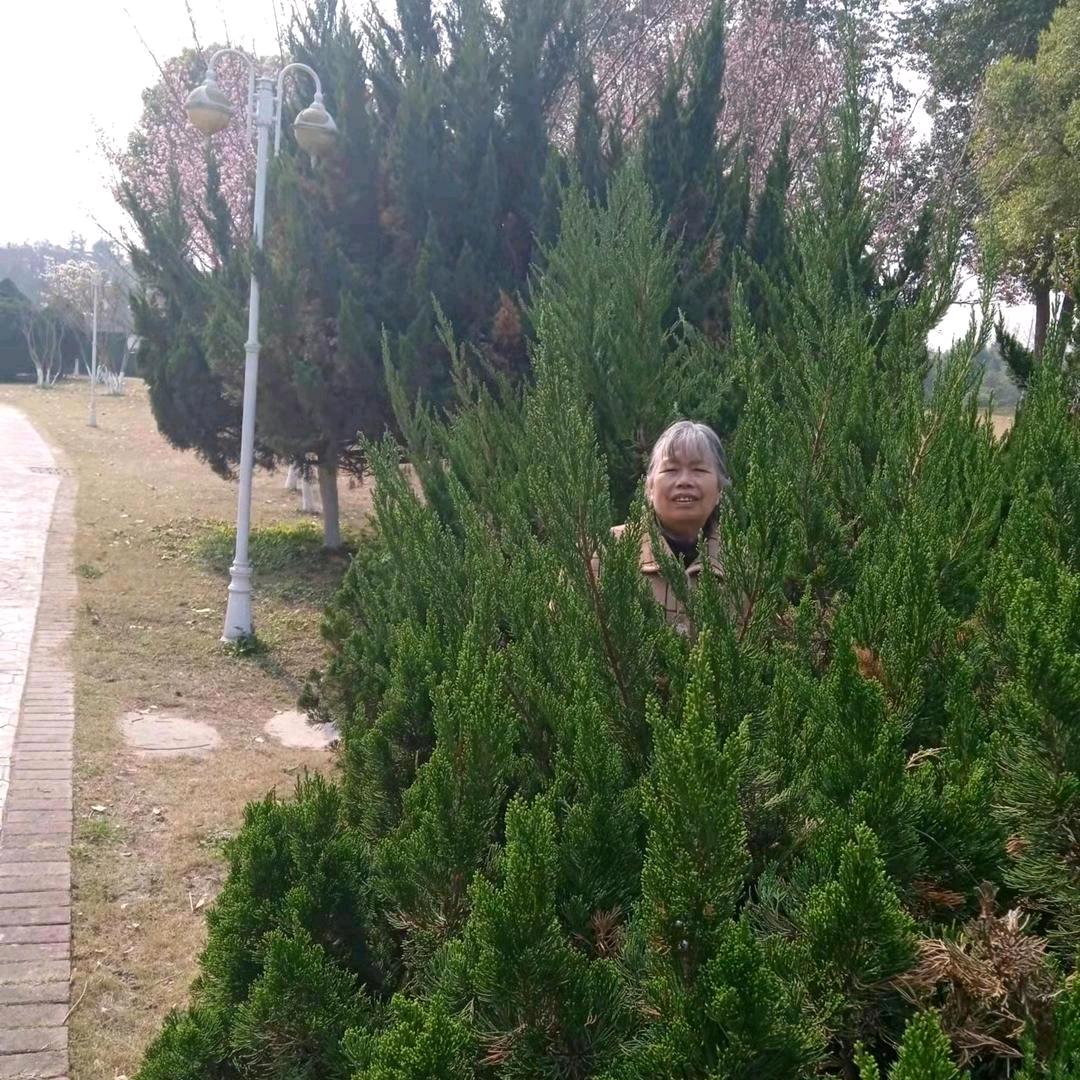 平安寿才