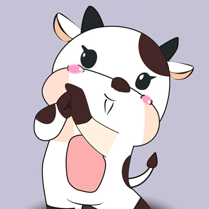 老表带你看演出