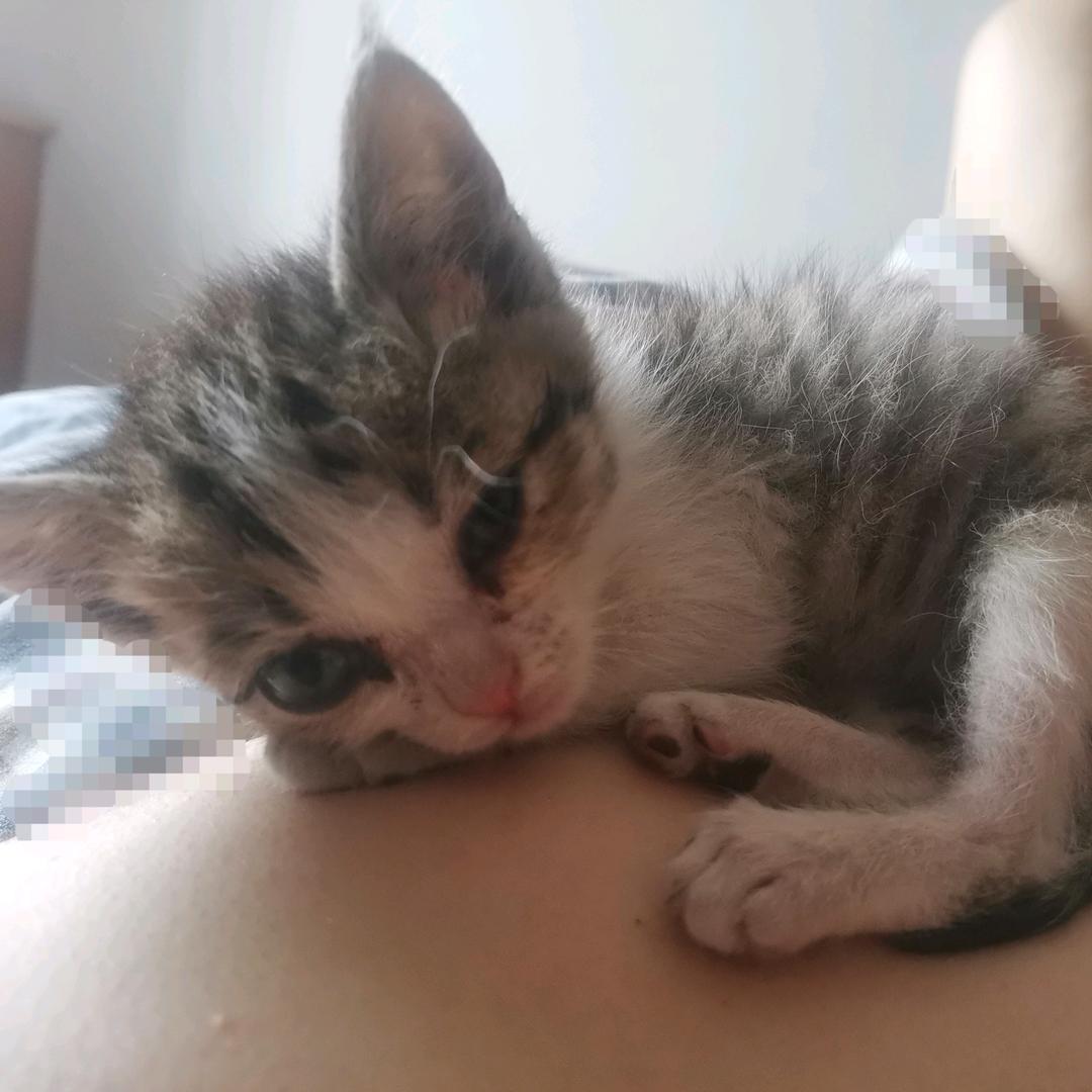 如意如意称我心意