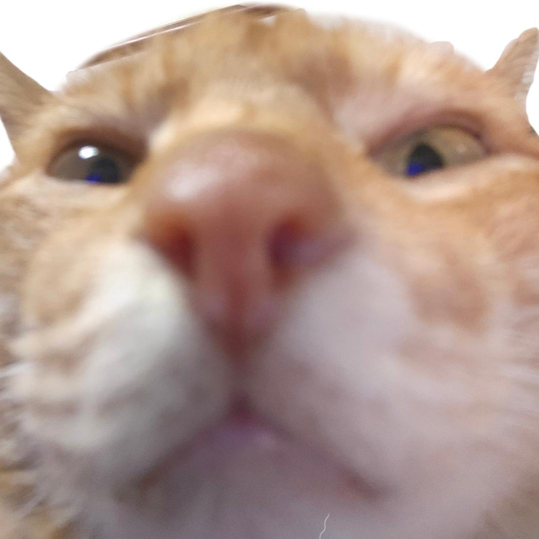 AAAA糖水佬双皮奶外送