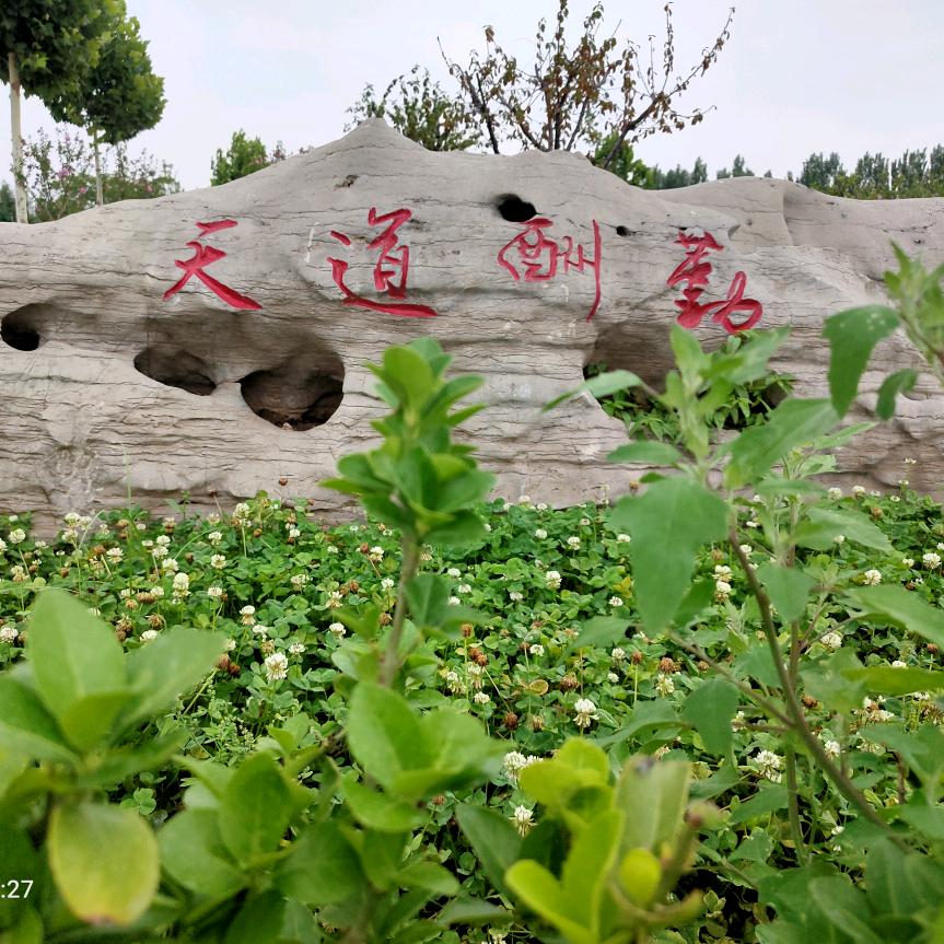 海上阳光