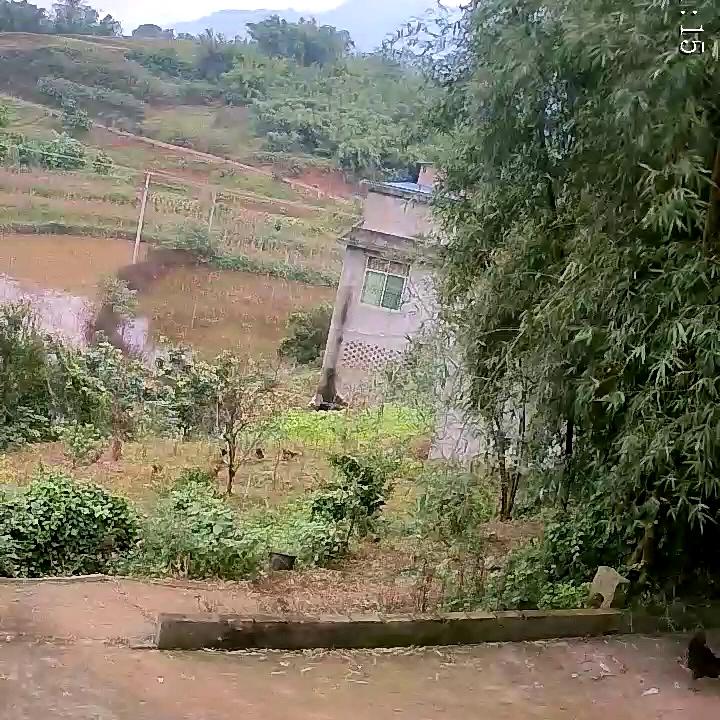 人生如梦。