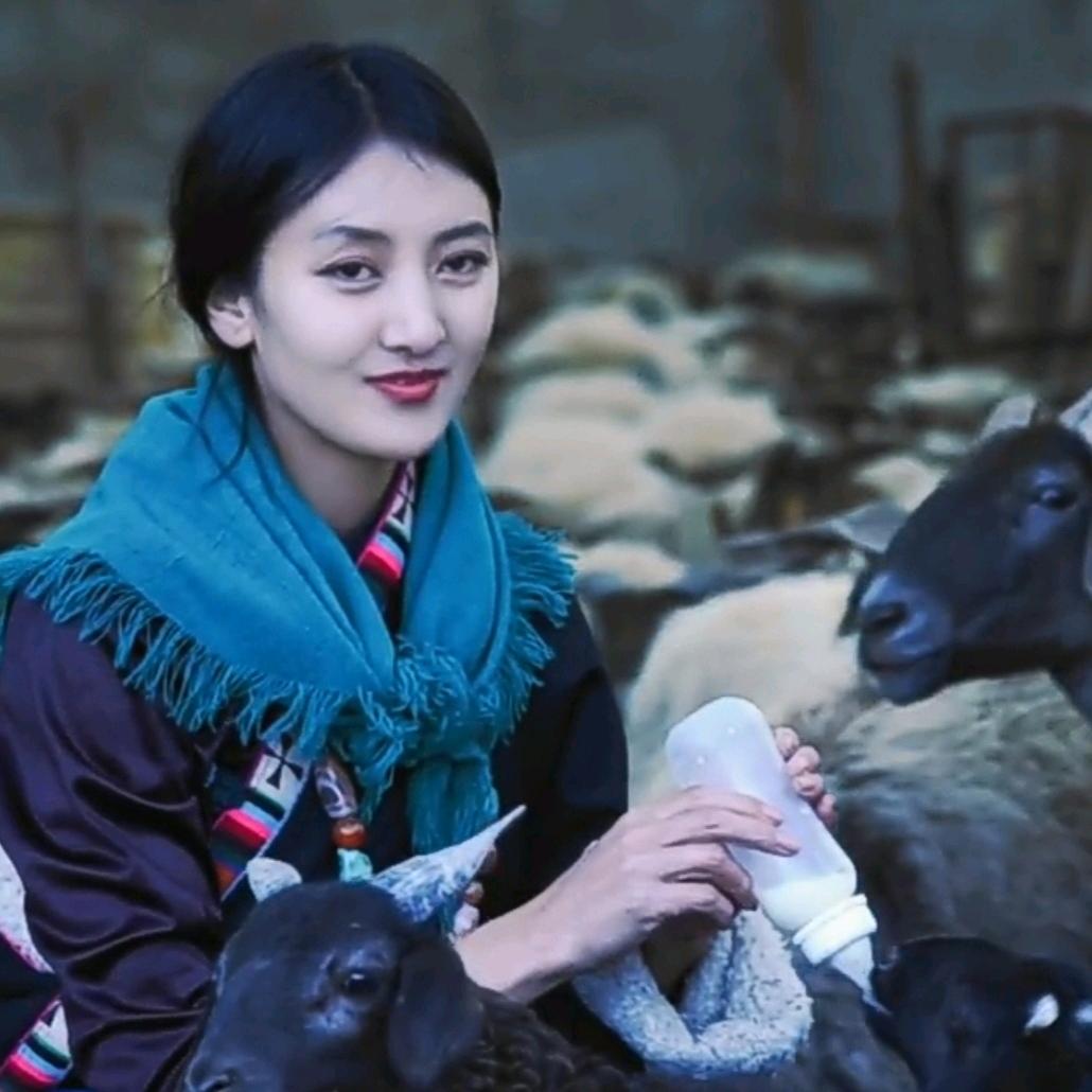 啊佳啦：玛扎美朵