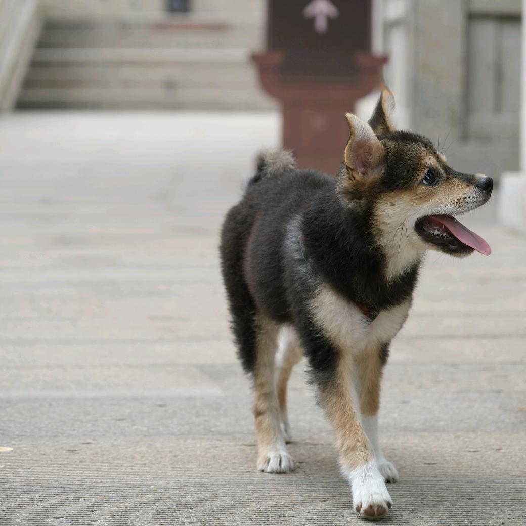 辣条很疯狂