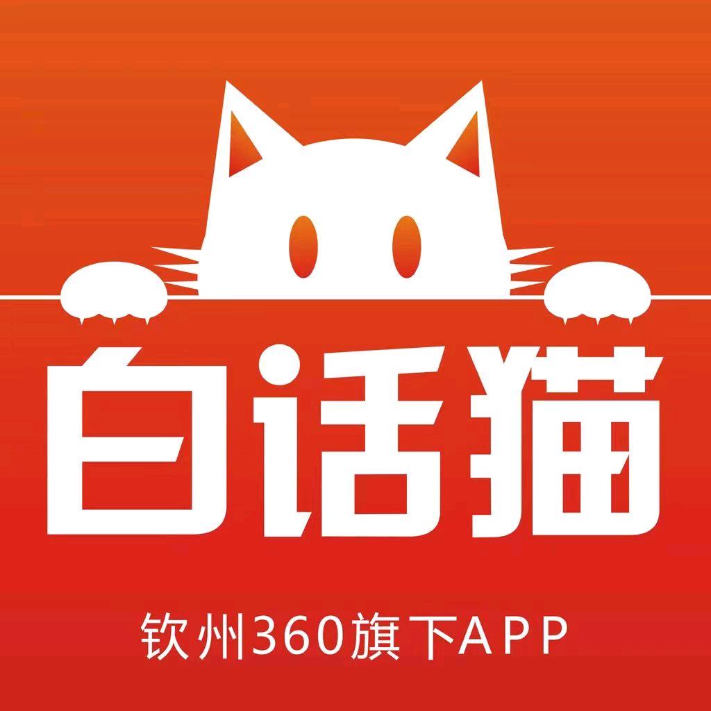 钦州白话猫