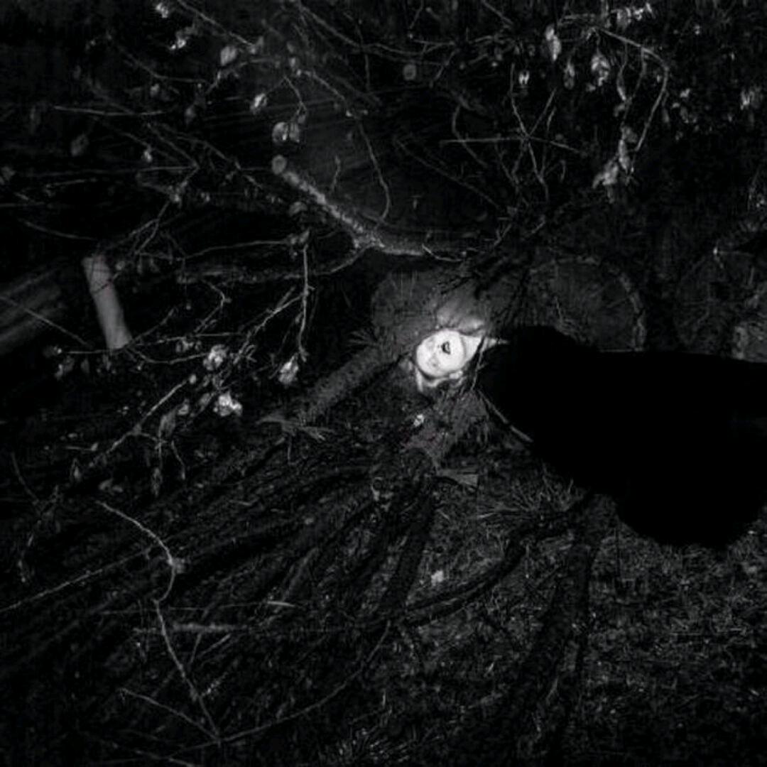 ঞ钟情于妳🌈এ