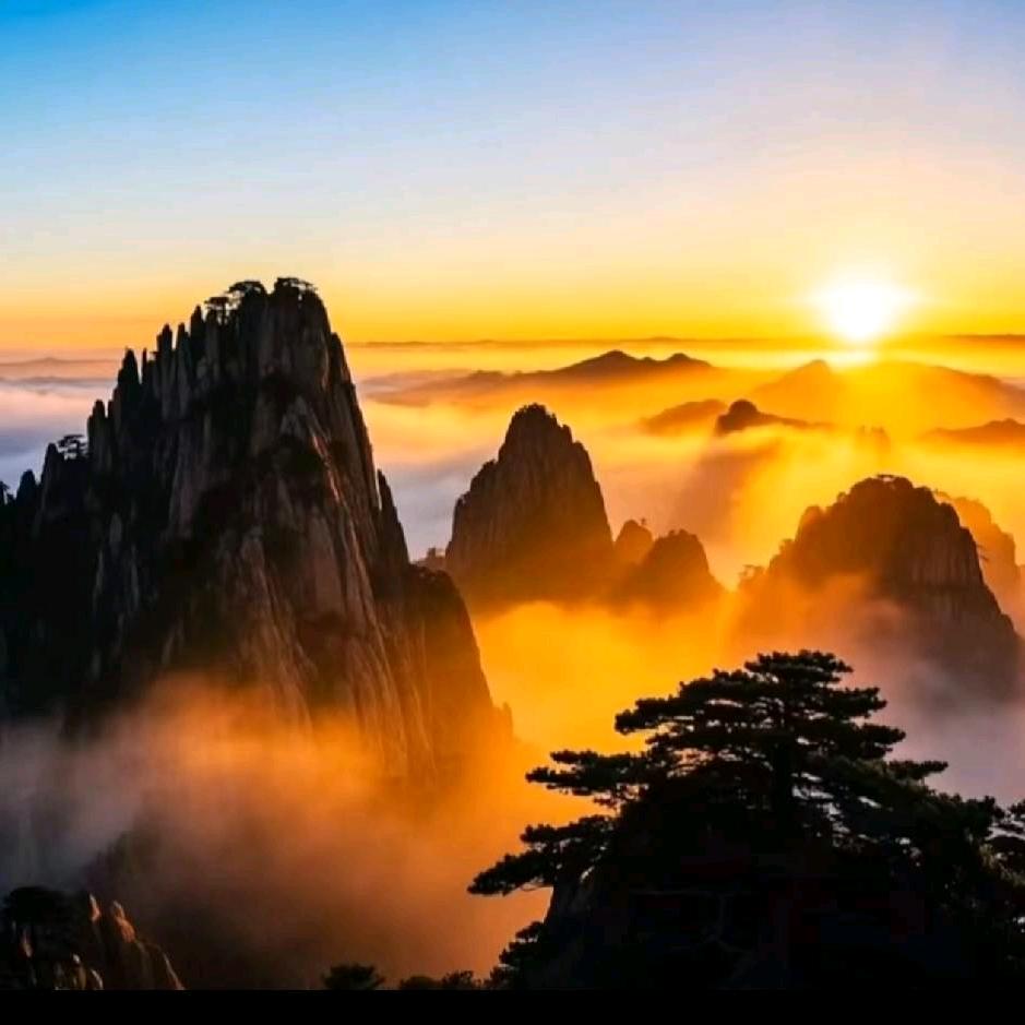 妙浩居士