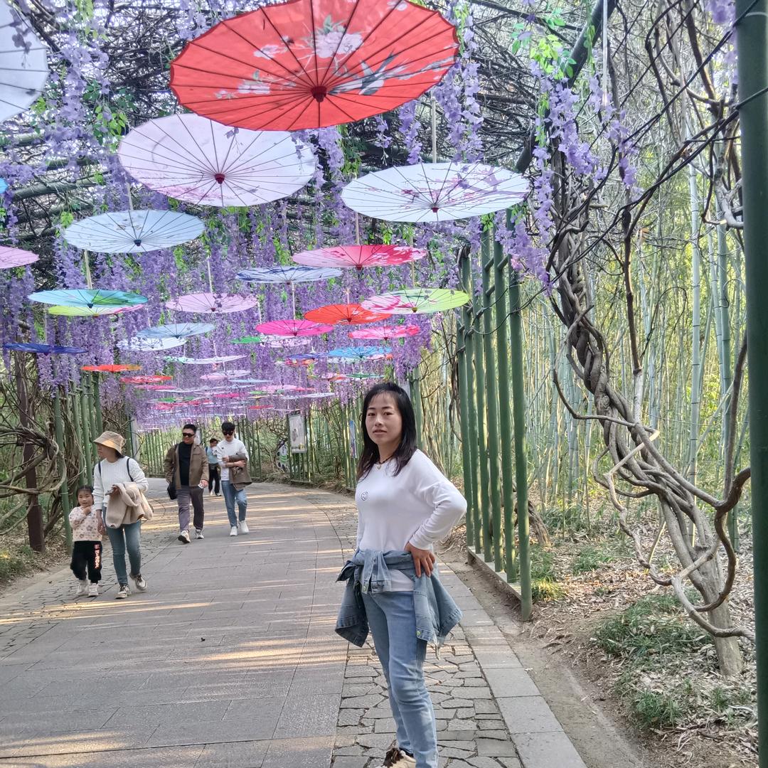 阿凤