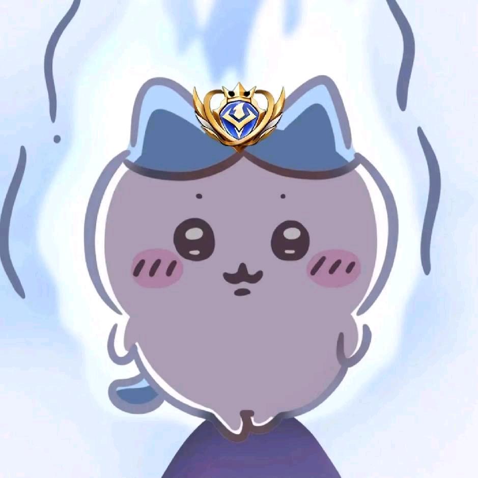 马飞(五百电竞国服老虎大司命百段打野)