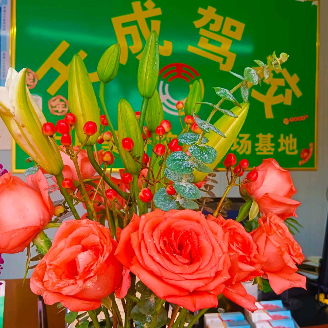 天成驾校报名号