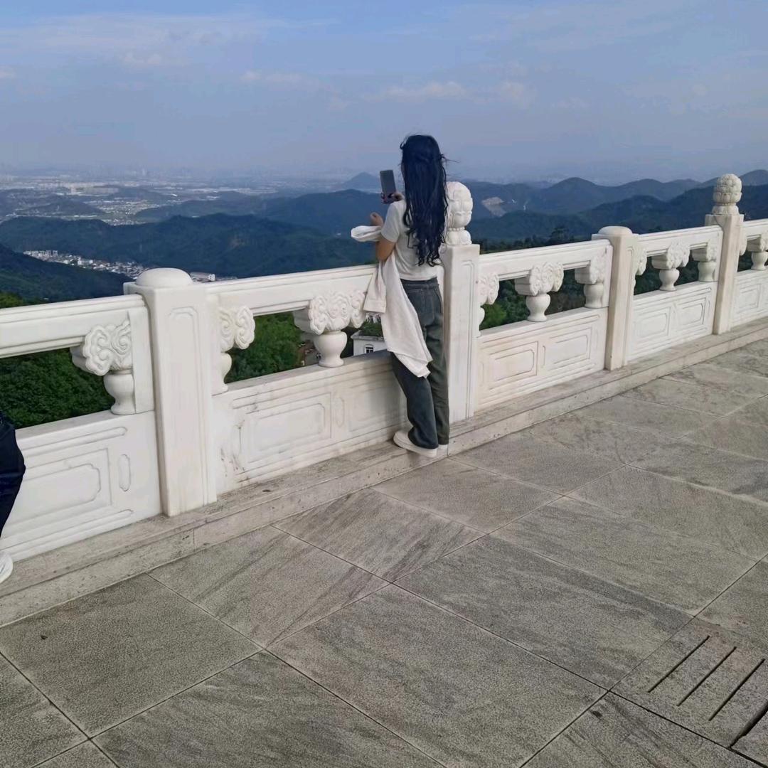 圆圆财