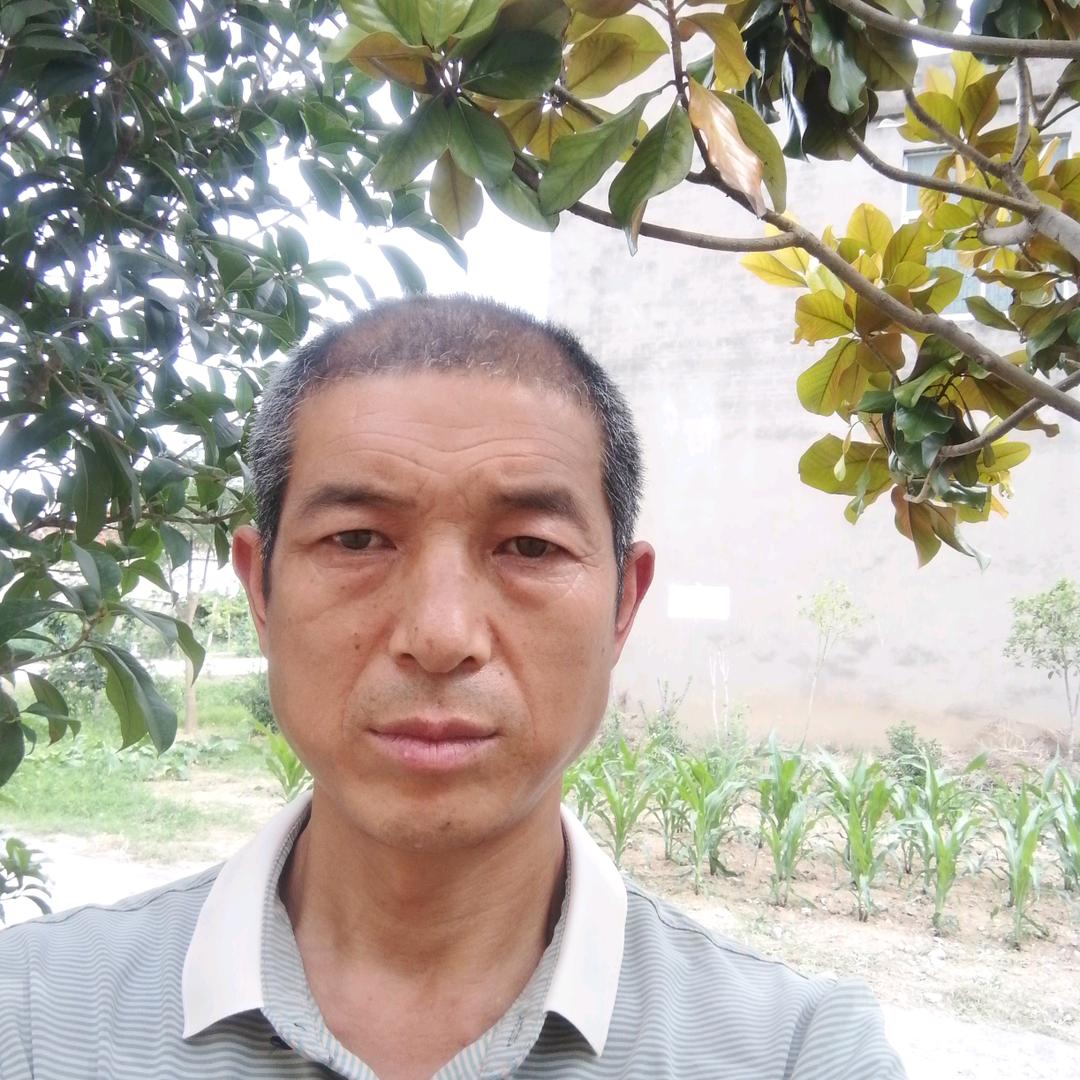 张哥  下午5点10分首播