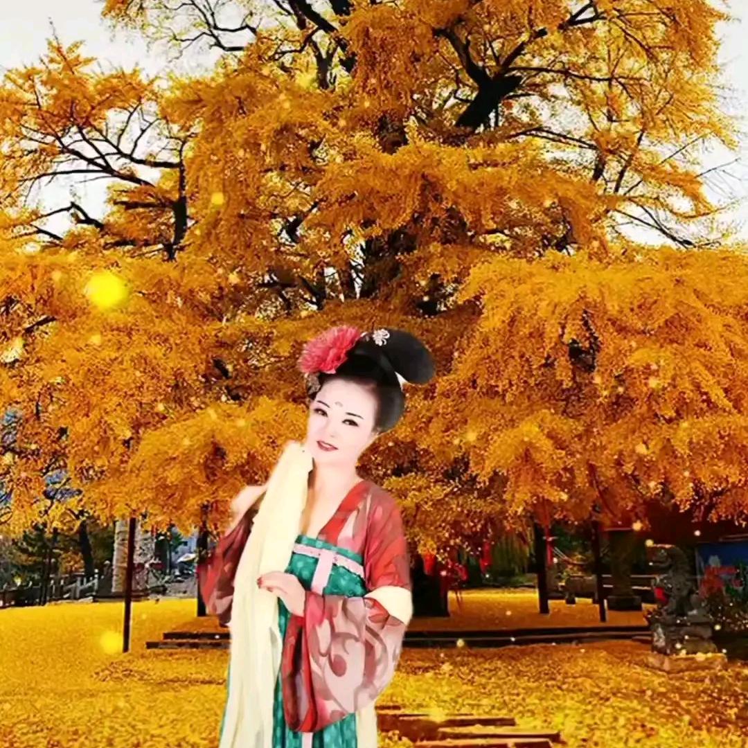 优雅到老