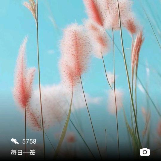 郑@大&钱