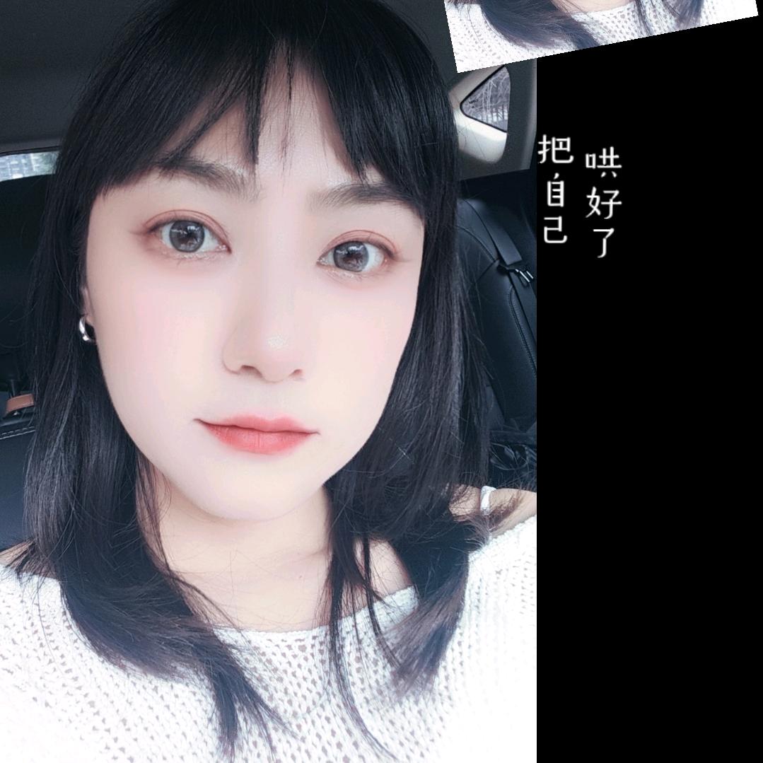 二月的猫