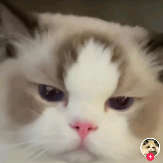 小骨头