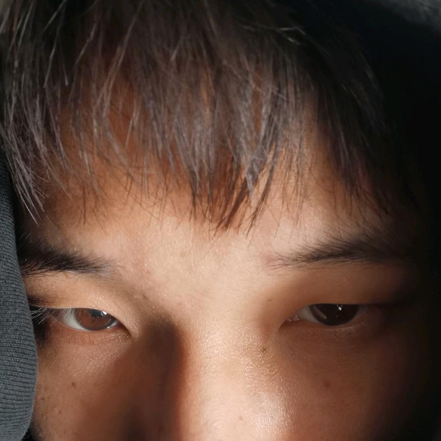 开飞机的舒克。