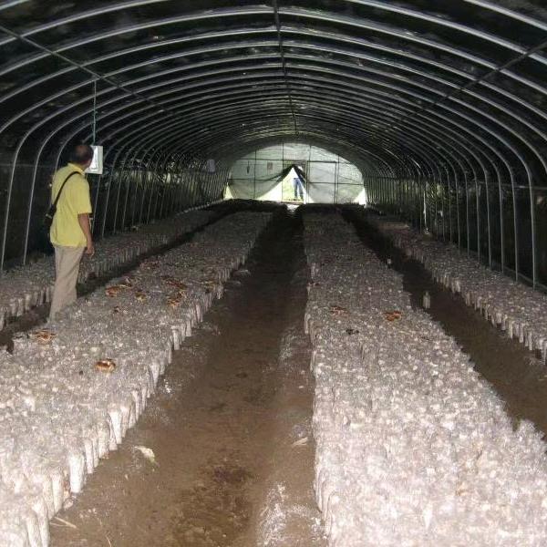 全国上门建大棚