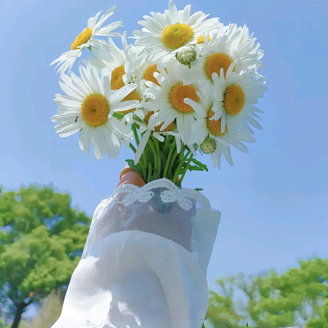 蛋壳