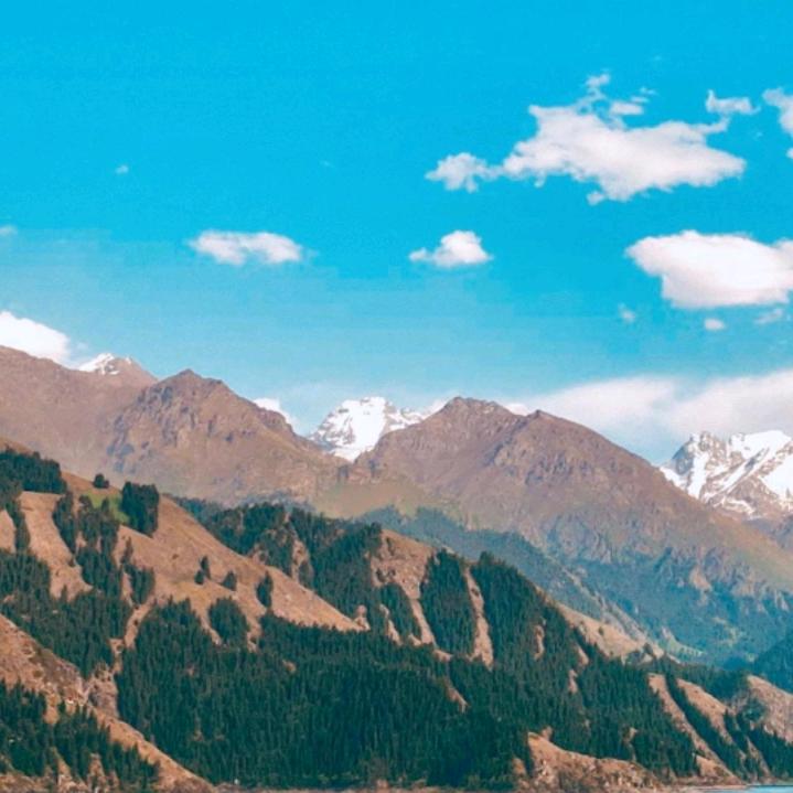 老张～恭喜发财