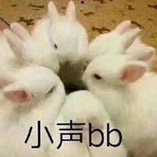 夜夜笙歌