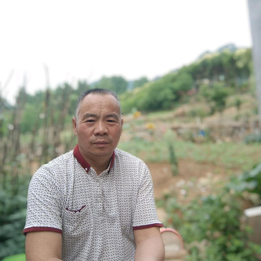 山河哥（不定时开播）