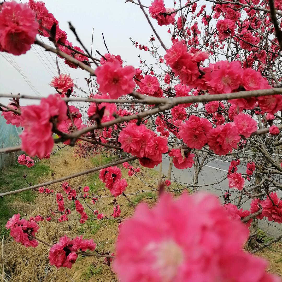 志愿，幸福相伴，不要连赞