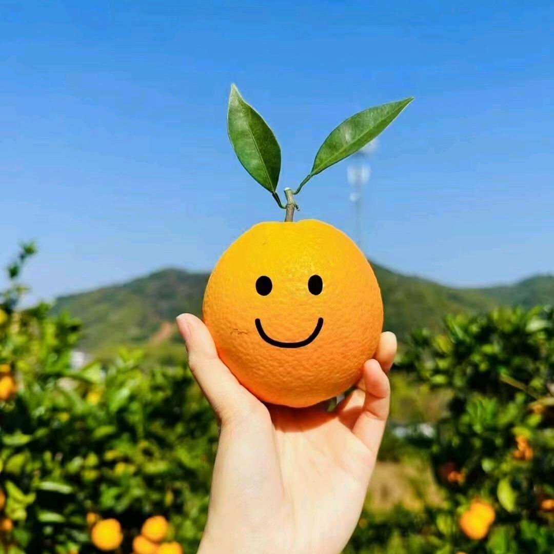 古月炸鸡
