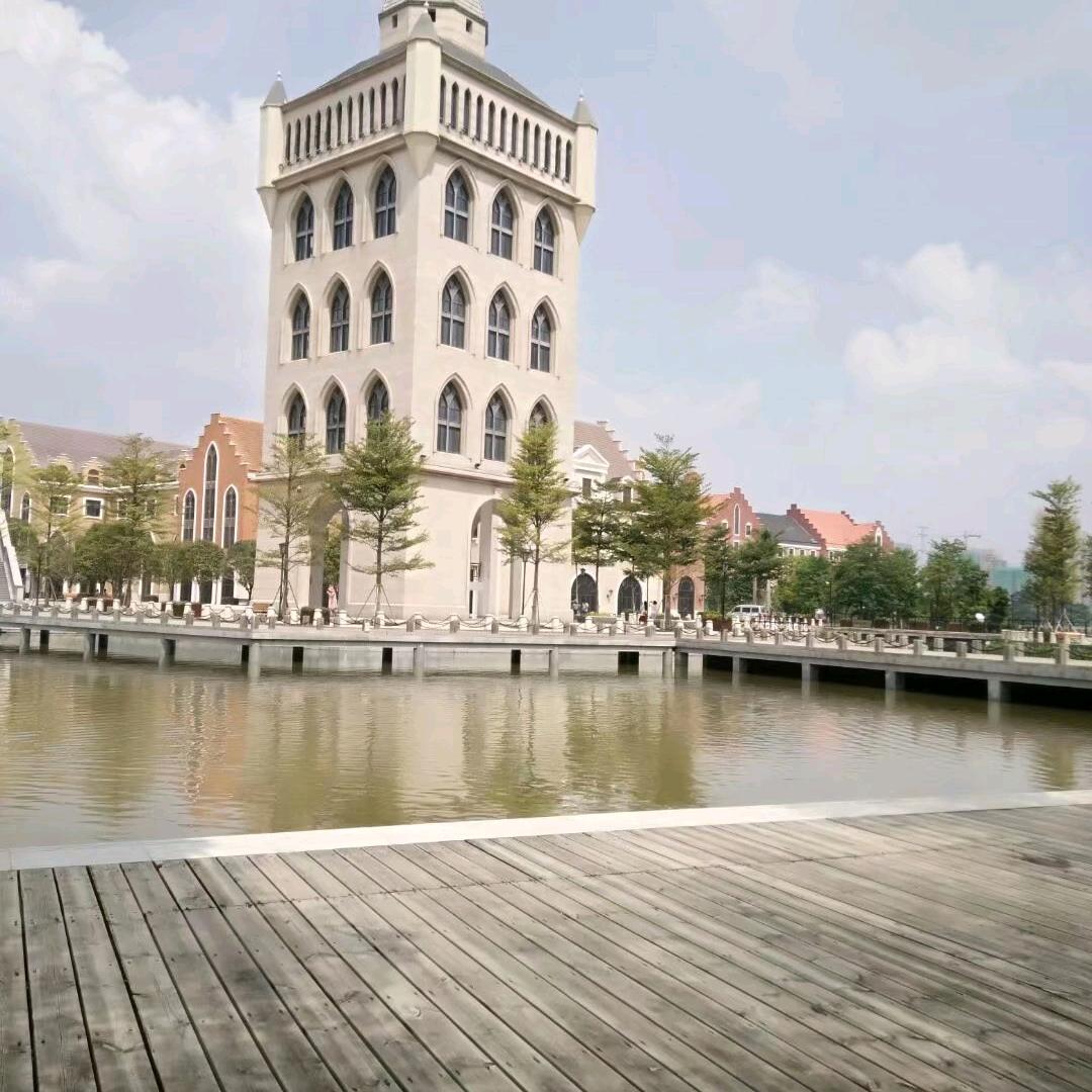 💗🐯🈶⌓‿⌓彬彬同学