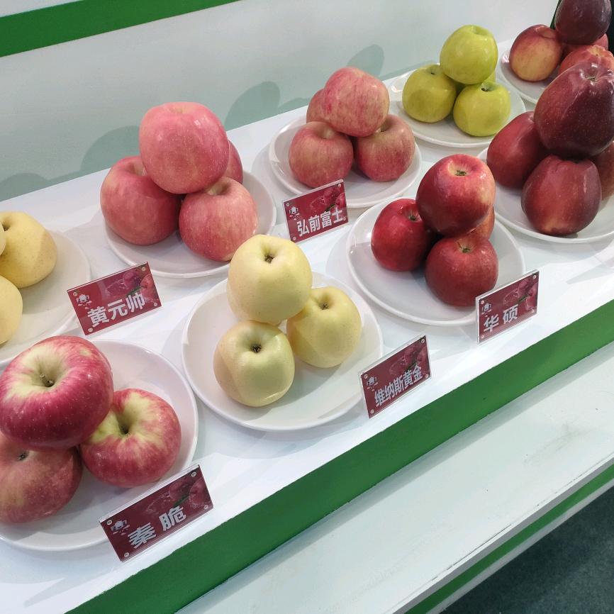 洛川苹果（舅舅陈平安）