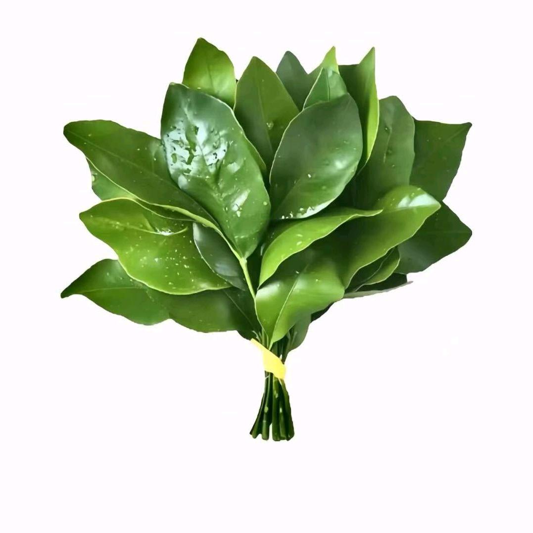 凌晨三点.