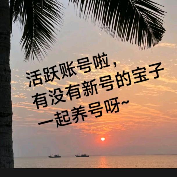 名字短了太好记