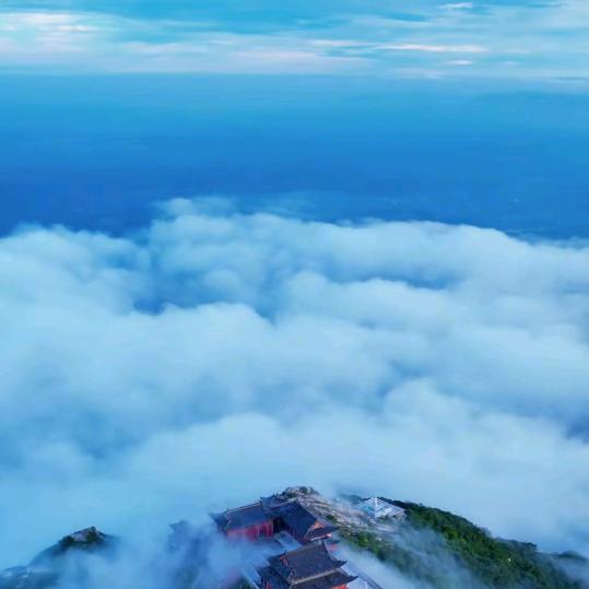 馨雨