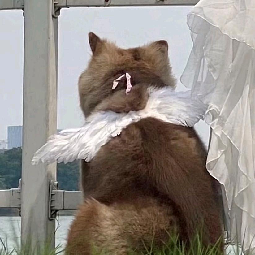 果王（The Finals）