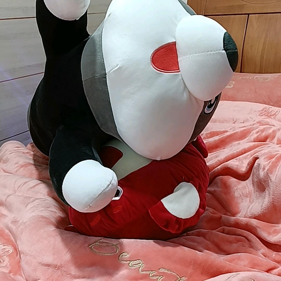 晴晴