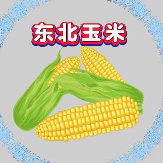 多吉玉米
