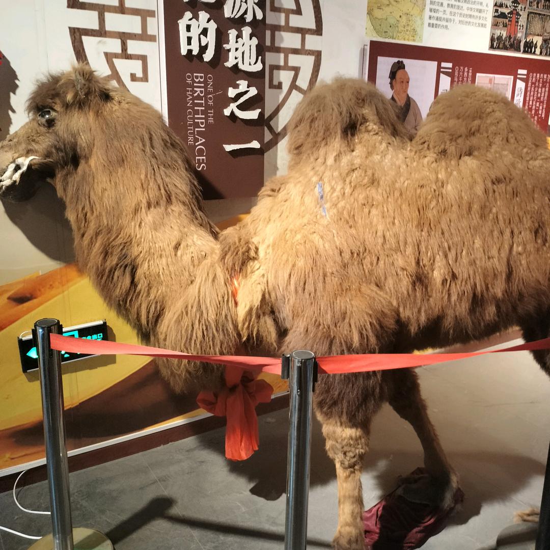 一往直前