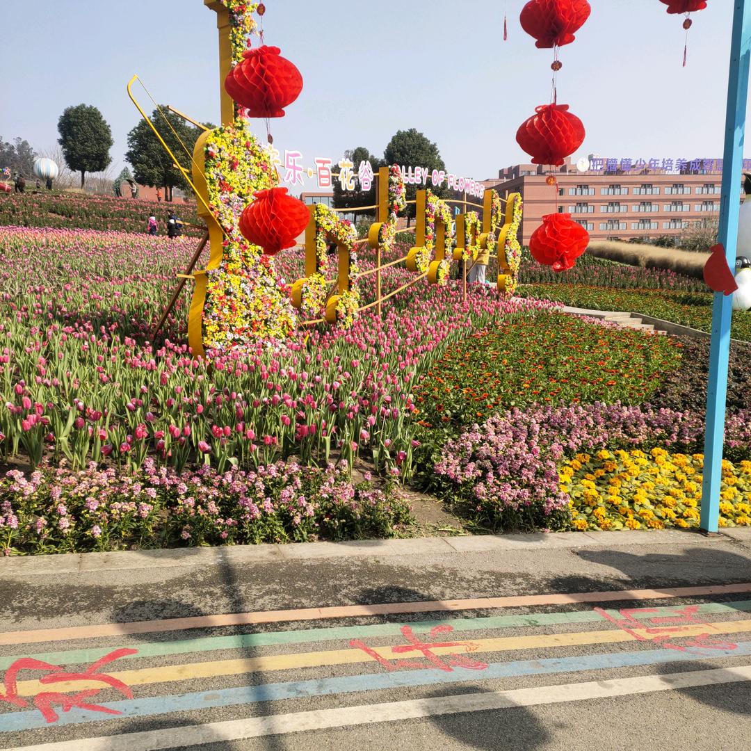 英华168