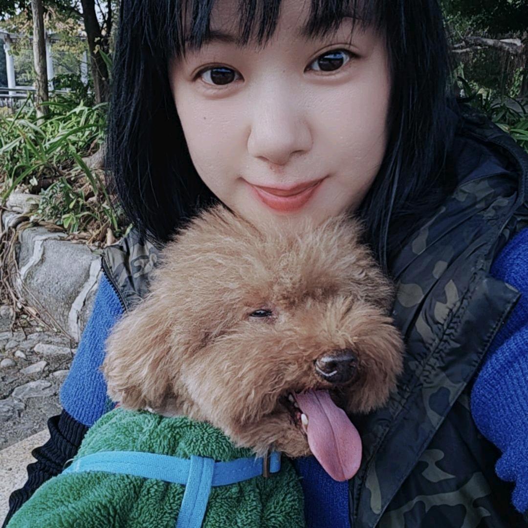 丁丁是条🐶
