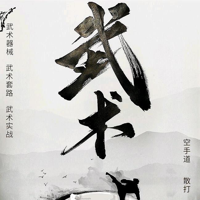 “全国知名武术大师”传武实战高手教武术