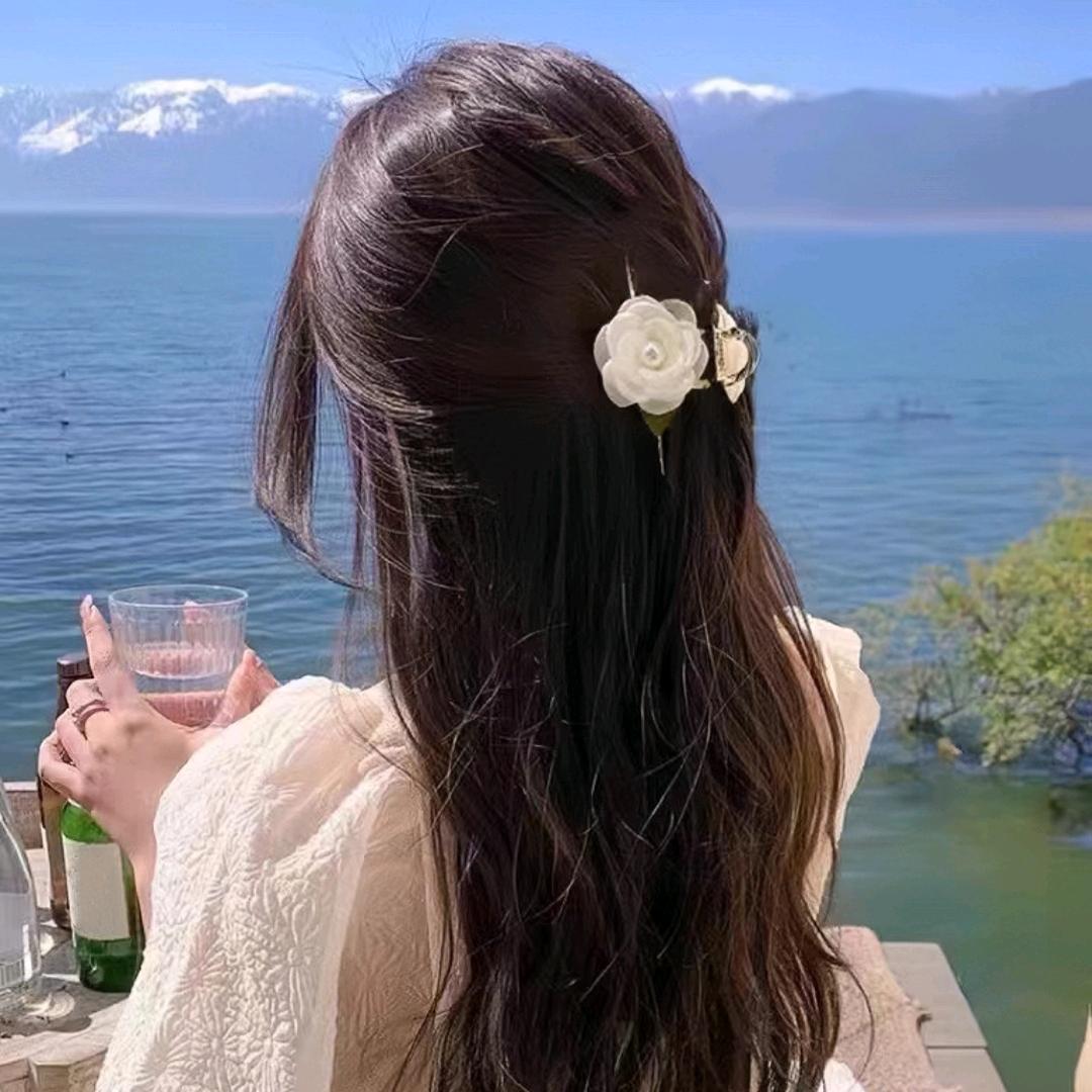 是莫莫呀