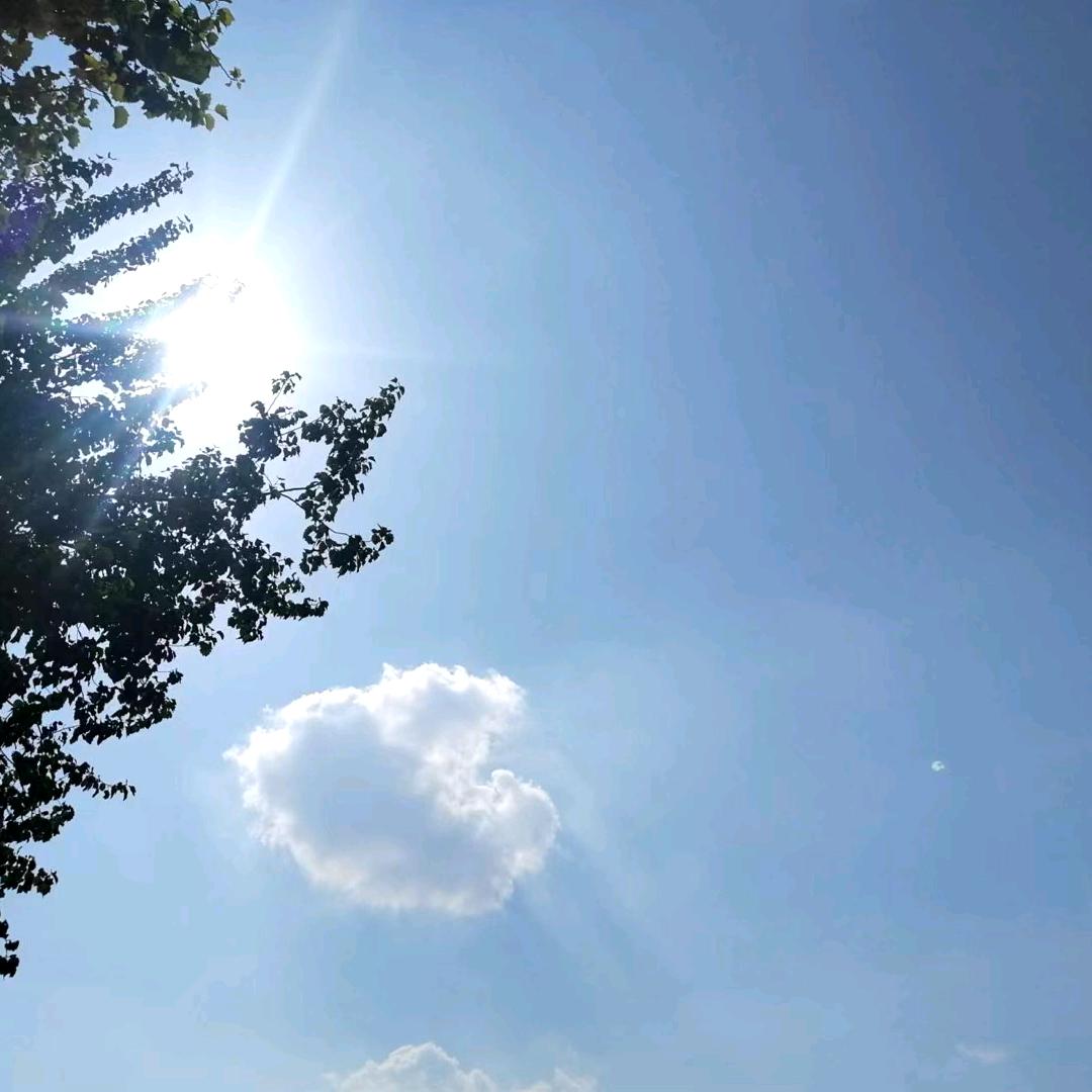 深陷泥潭的人！