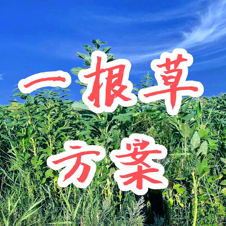 草原·松